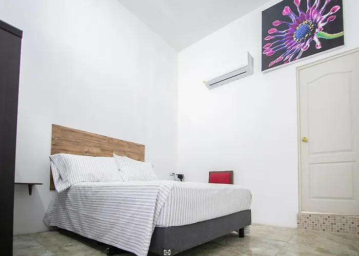 Oyo Plaza Torres, Hotel