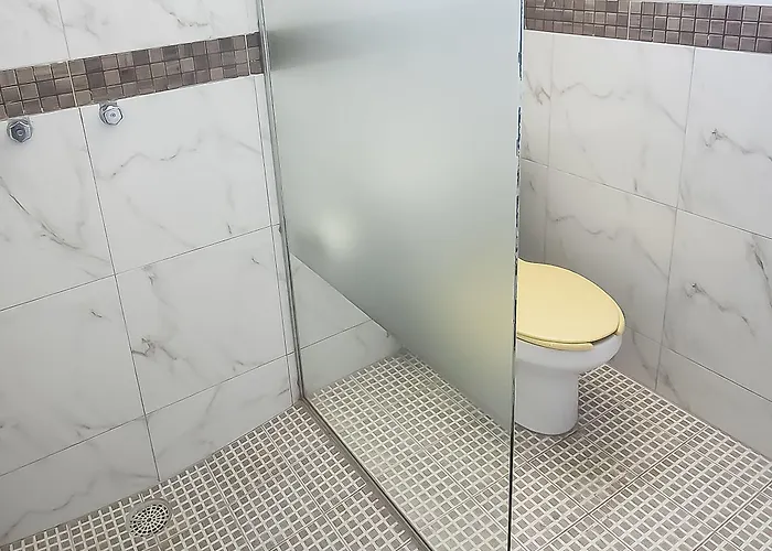 Oyo Plaza Torres, 4*